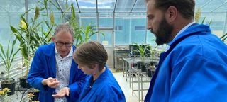 Amos Palfreyman with the Miruku team in the greenhouse